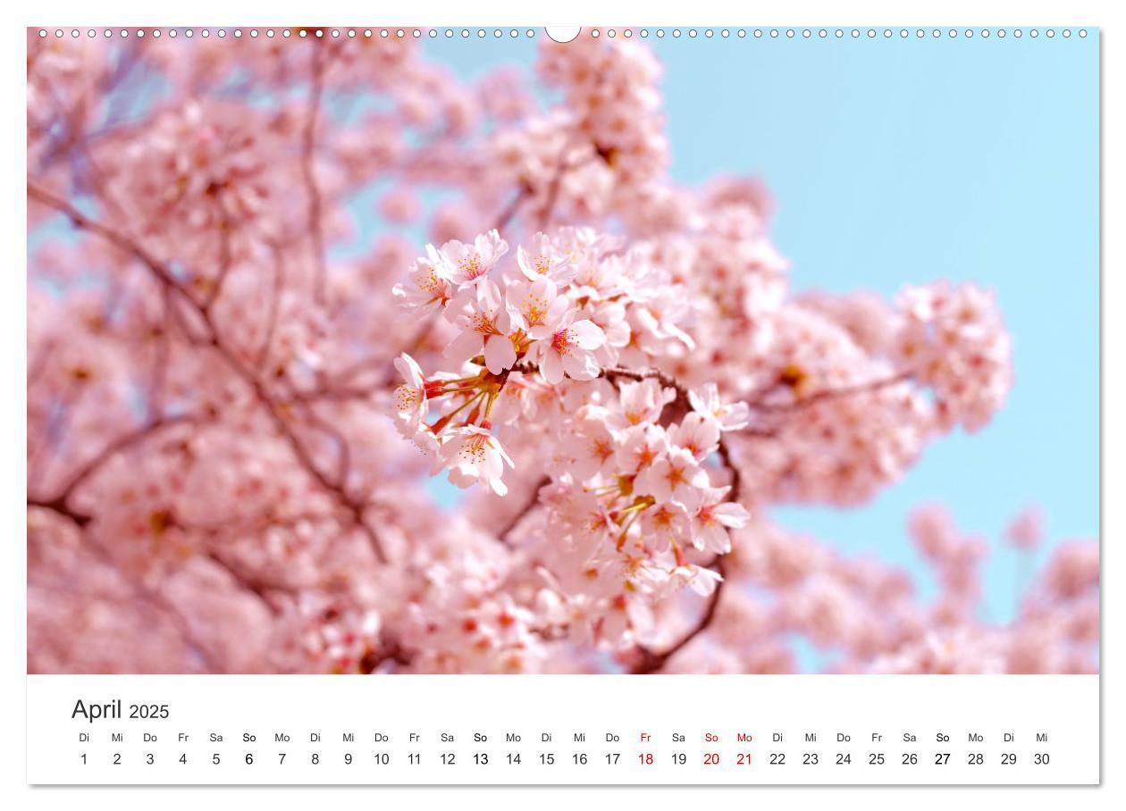 Bild: 9783435073054 | Japan - Land der Kontraste (Wandkalender 2025 DIN A2 quer),...