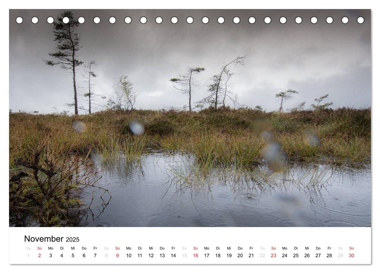 Bild: 9783435498673 | Naturerlebnis im Biosphärenreservat Rhön (Tischkalender 2025 DIN A5...