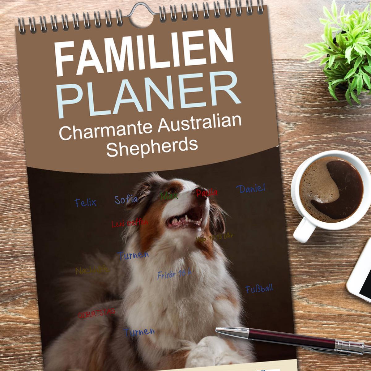 Bild: 9783457117101 | Familienplaner 2025 - Charmante Australian Shepherds mit 5 Spalten...