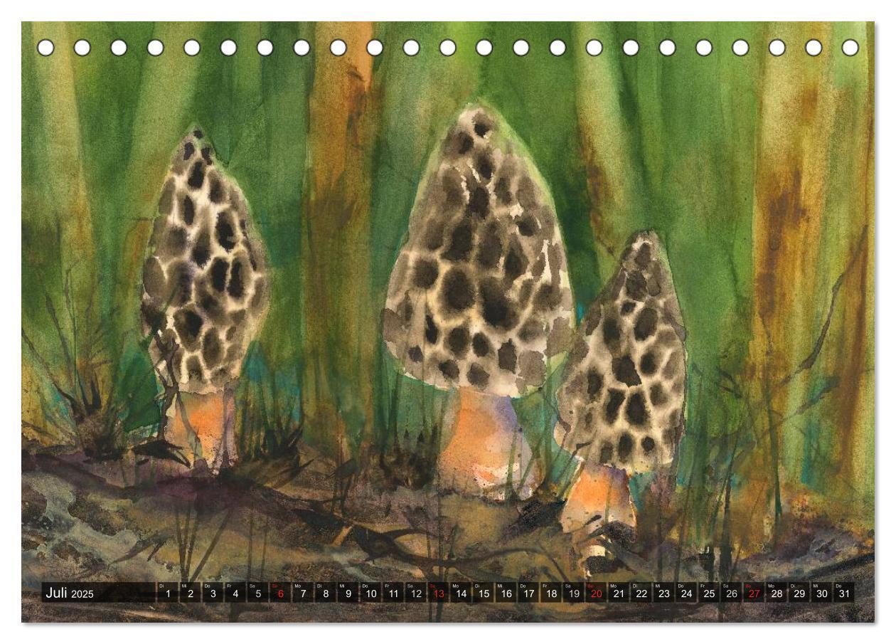 Bild: 9783435593545 | Pilze in Aquarell (Tischkalender 2025 DIN A5 quer), CALVENDO...