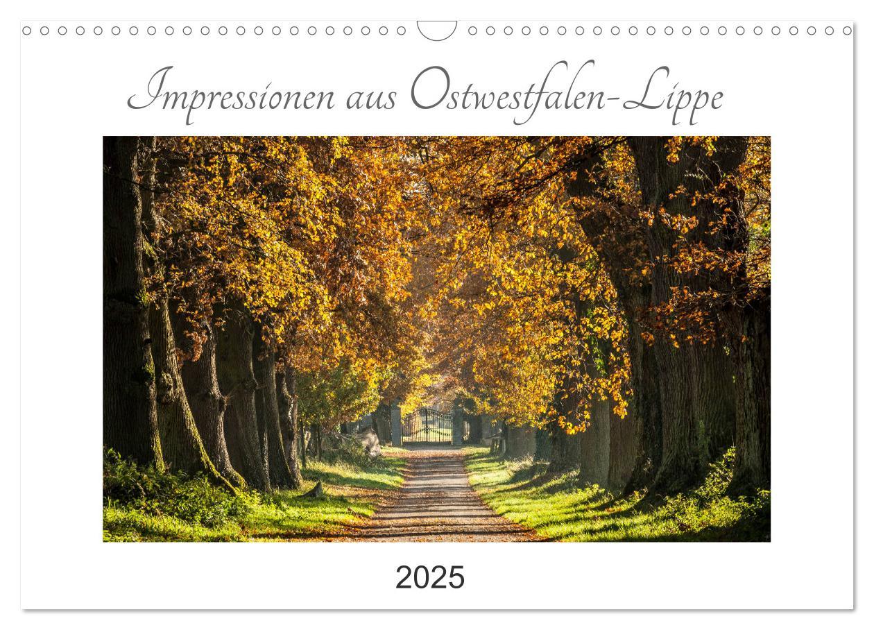 Cover: 9783435155606 | Impressionen aus Ostwestfalen-Lippe (Wandkalender 2025 DIN A3...