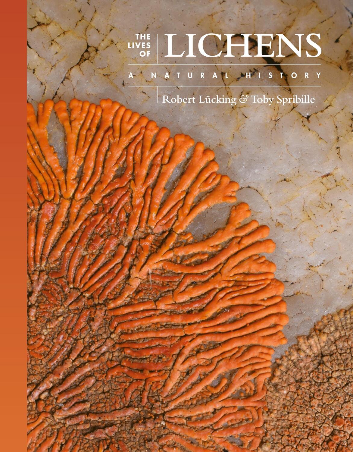 Cover: 9780691247274 | The Lives of Lichens | A Natural History | Robert Lücking (u. a.)