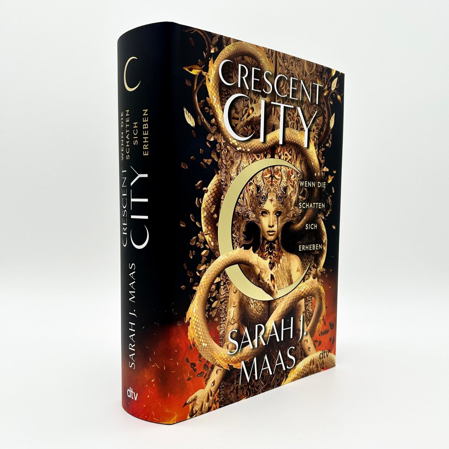 Bild: 9783423764773 | Crescent City - Wenn die Schatten sich erheben | Sarah J. Maas | Buch