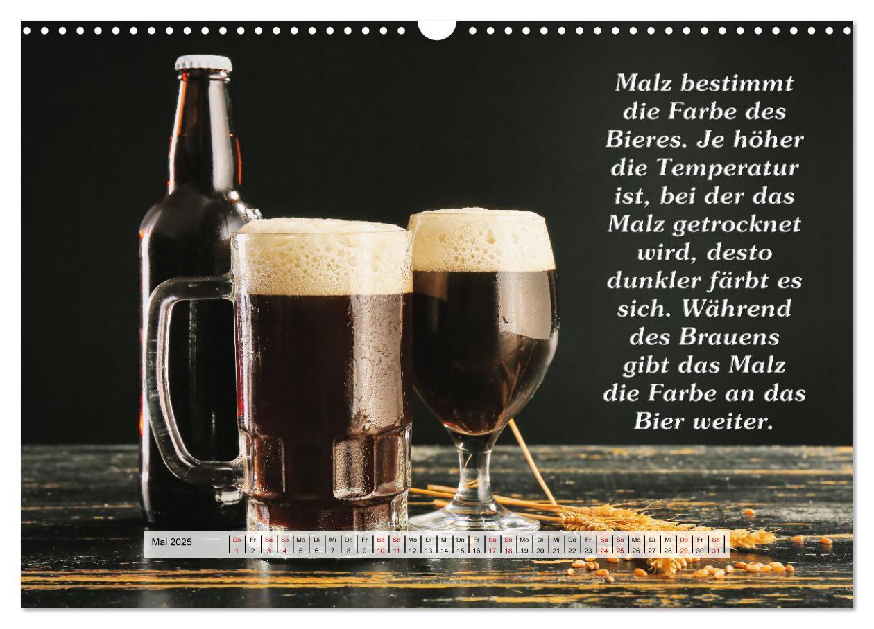 Bild: 9783435036806 | Wissenswertes über Bier (Wandkalender 2025 DIN A3 quer), CALVENDO...