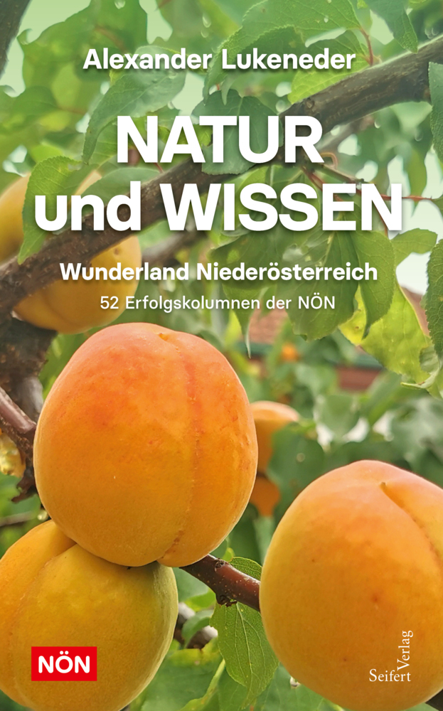 Cover: 9783904123709 | Natur und Wissen | Wunderland Niederösterreich | Lukeneder | Buch