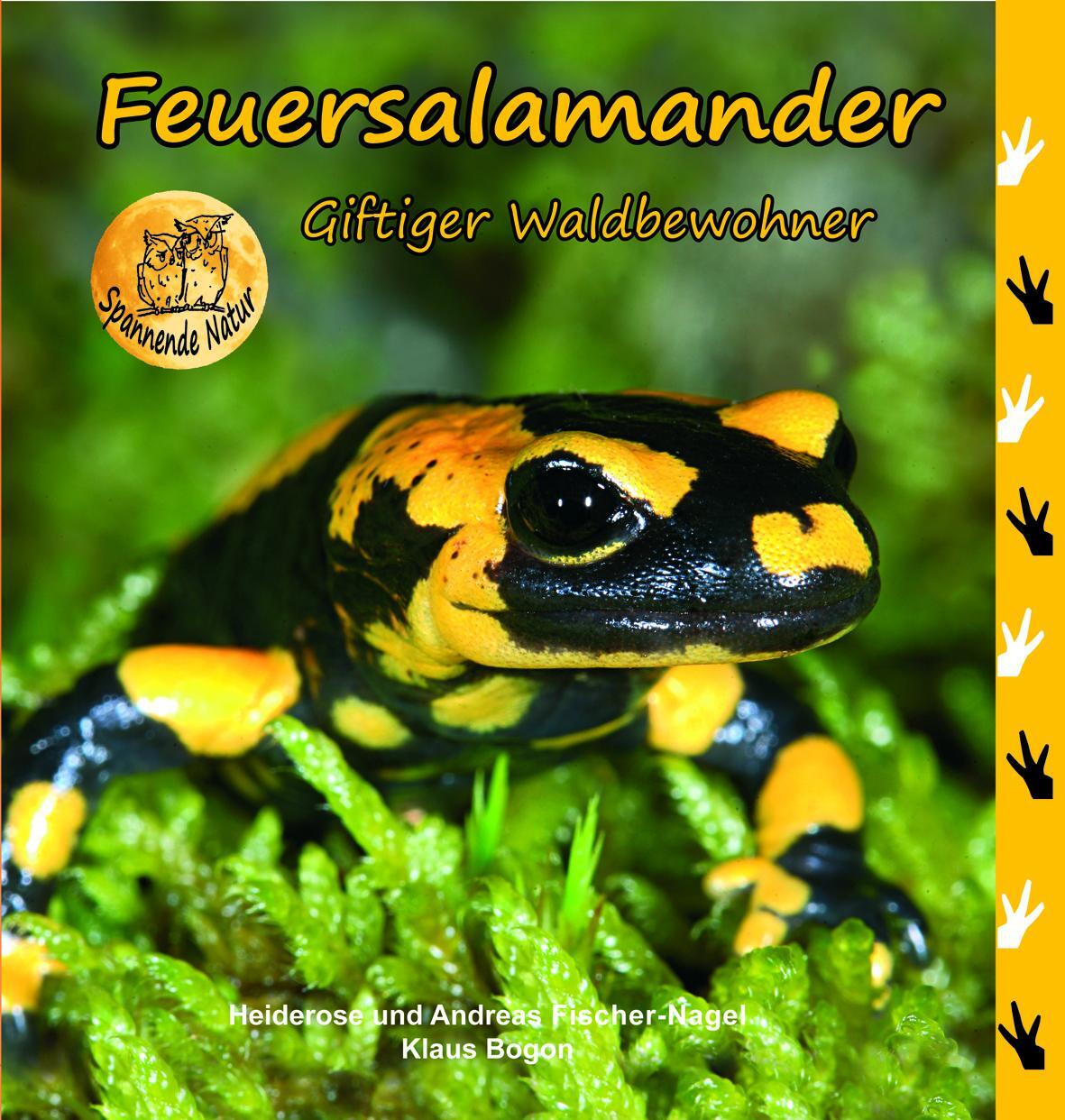 Cover: 9783930038589 | Feuersalamander | Giftiger Waldbewohneer | Fischer-Nagel (u. a.)