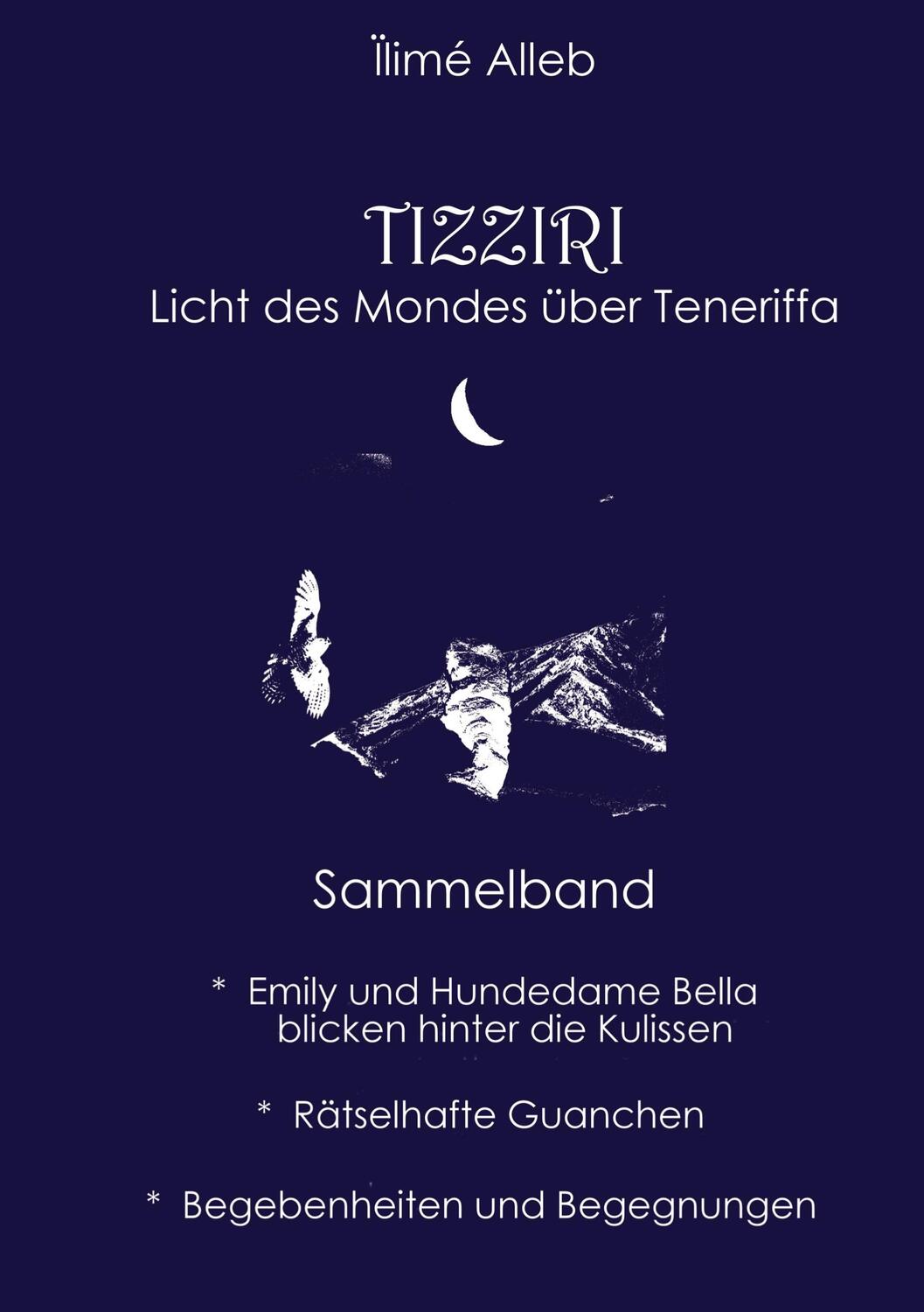 Cover: 9783347796492 | TIZZIRI | Ïlimé Alleb | Buch | HC runder Rücken kaschiert | 348 S.