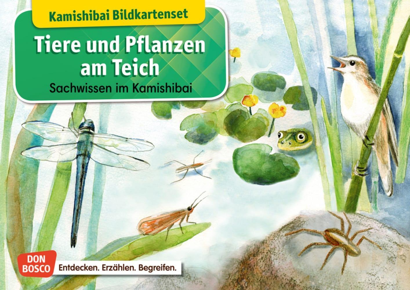 Cover: 4260179515736 | Tiere und Pflanzen am Teich. Kamishibai-Bildkartenset. | Stöckl-Bauer