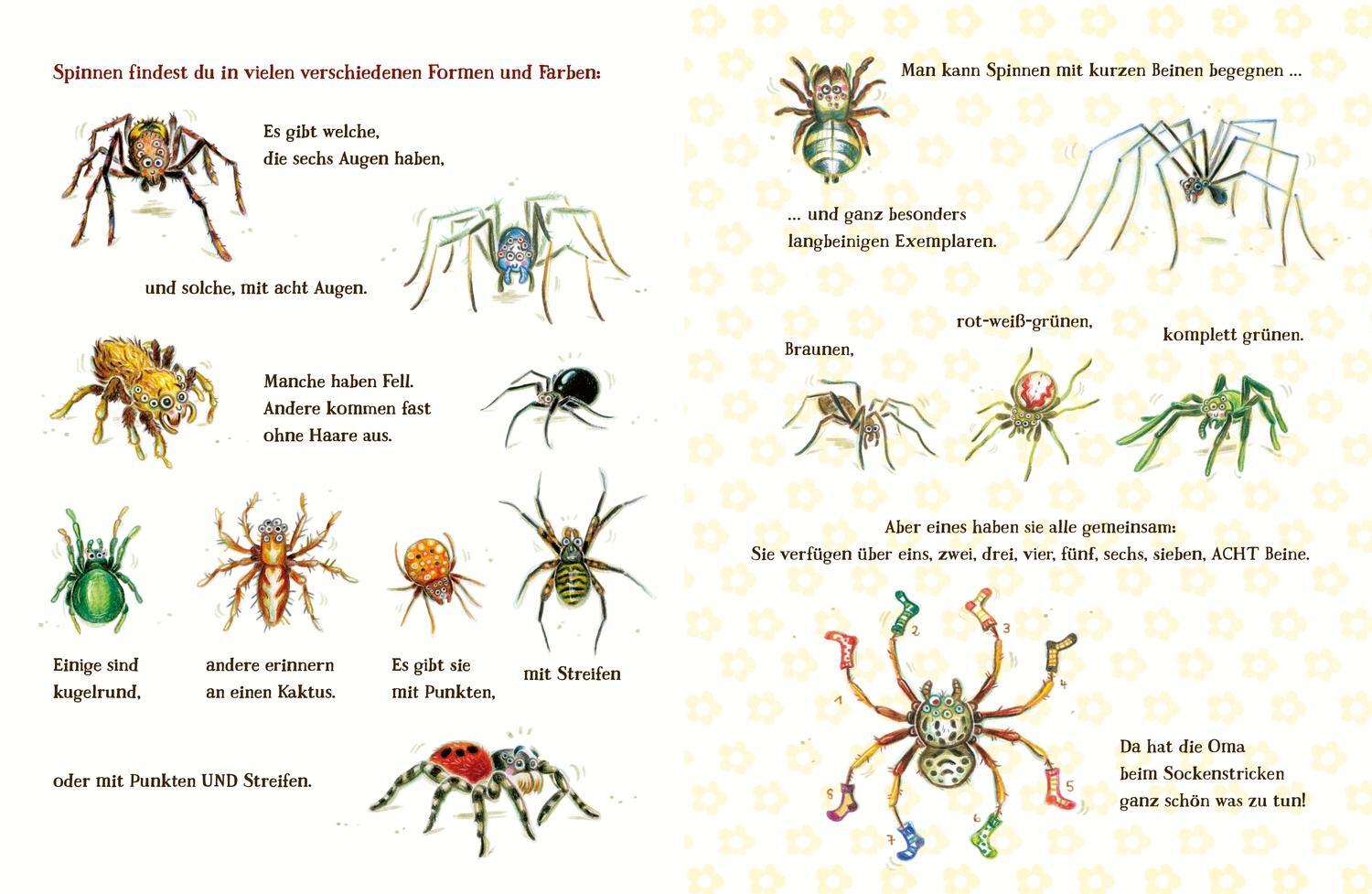 Bild: 9783789107900 | Spinnen-Alarm | Das große (Spinnen-) Angst-weg-Buch | Nina Dulleck
