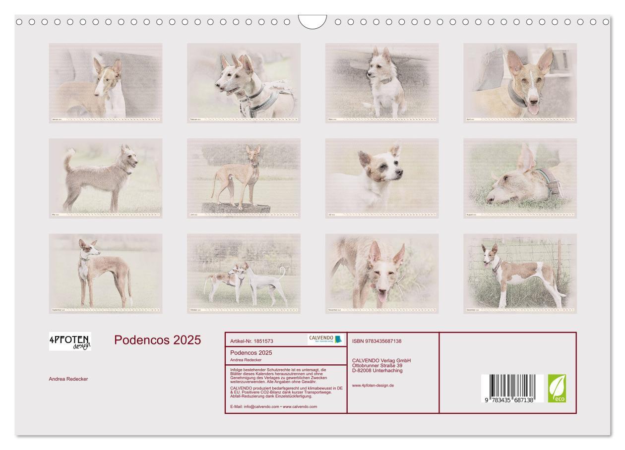 Bild: 9783435687138 | Podencos 2025 (Wandkalender 2025 DIN A3 quer), CALVENDO Monatskalender