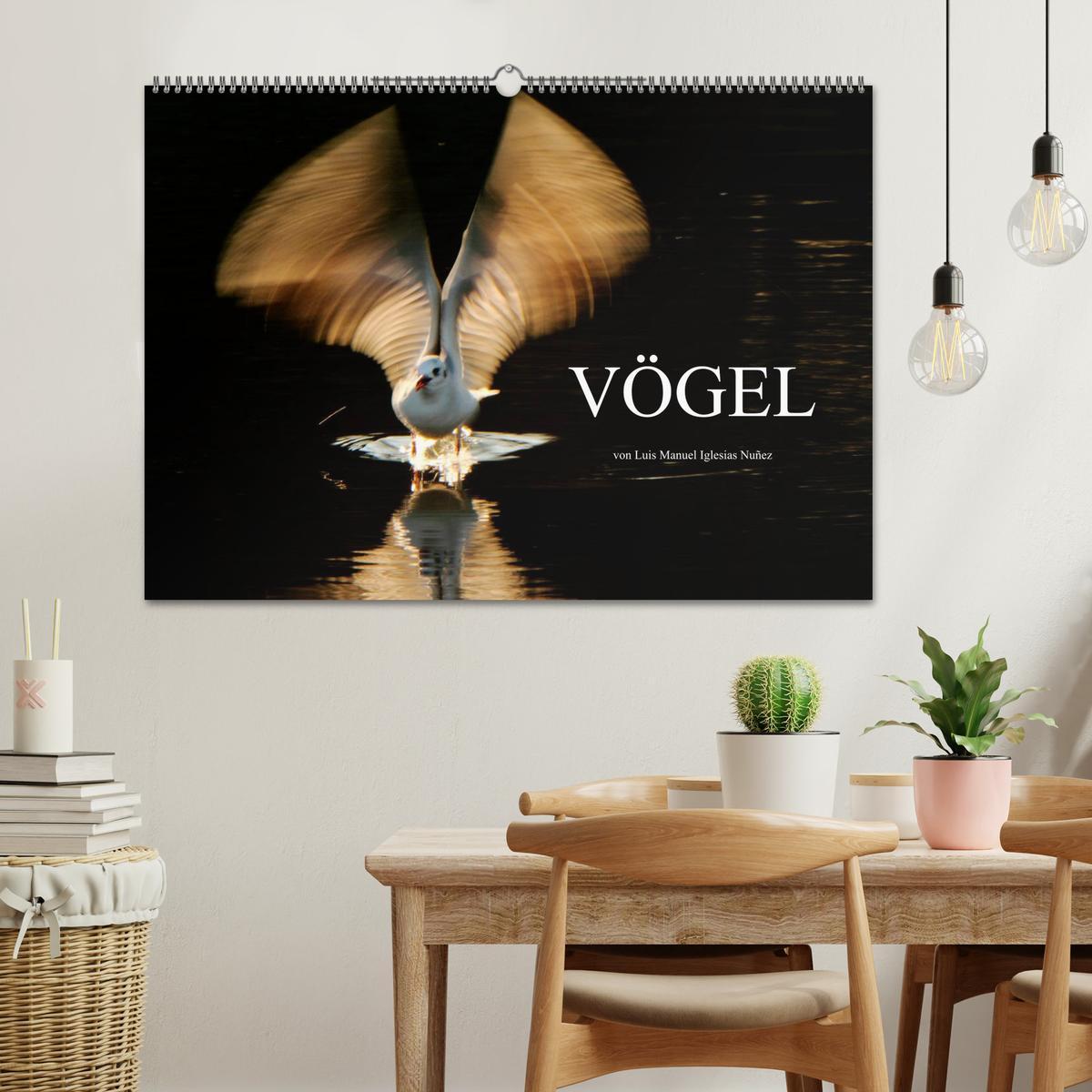 Bild: 9783435806720 | VÖGEL (Wandkalender 2025 DIN A2 quer), CALVENDO Monatskalender | Nuñez