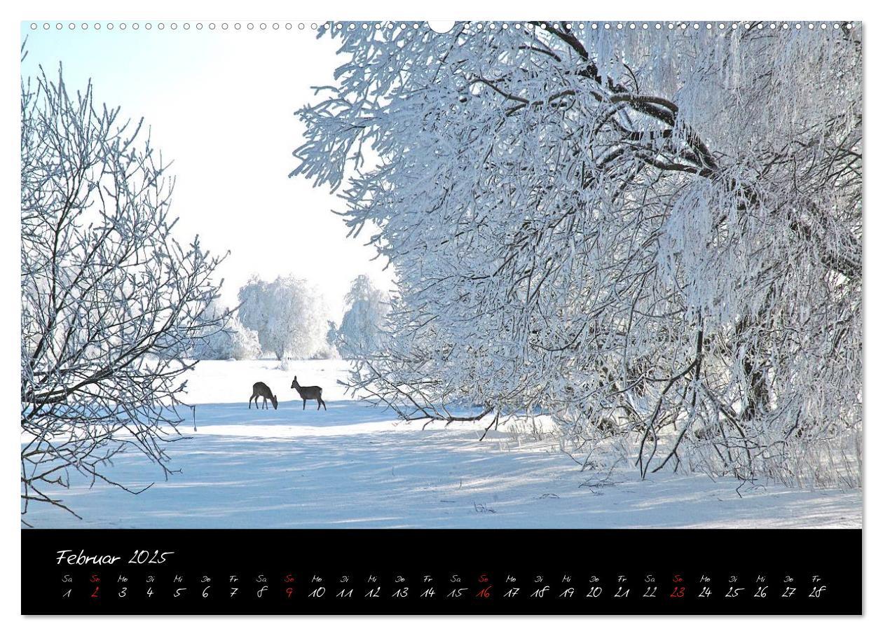 Bild: 9783435778546 | RHÖN = SCHÖN (Wandkalender 2025 DIN A2 quer), CALVENDO Monatskalender