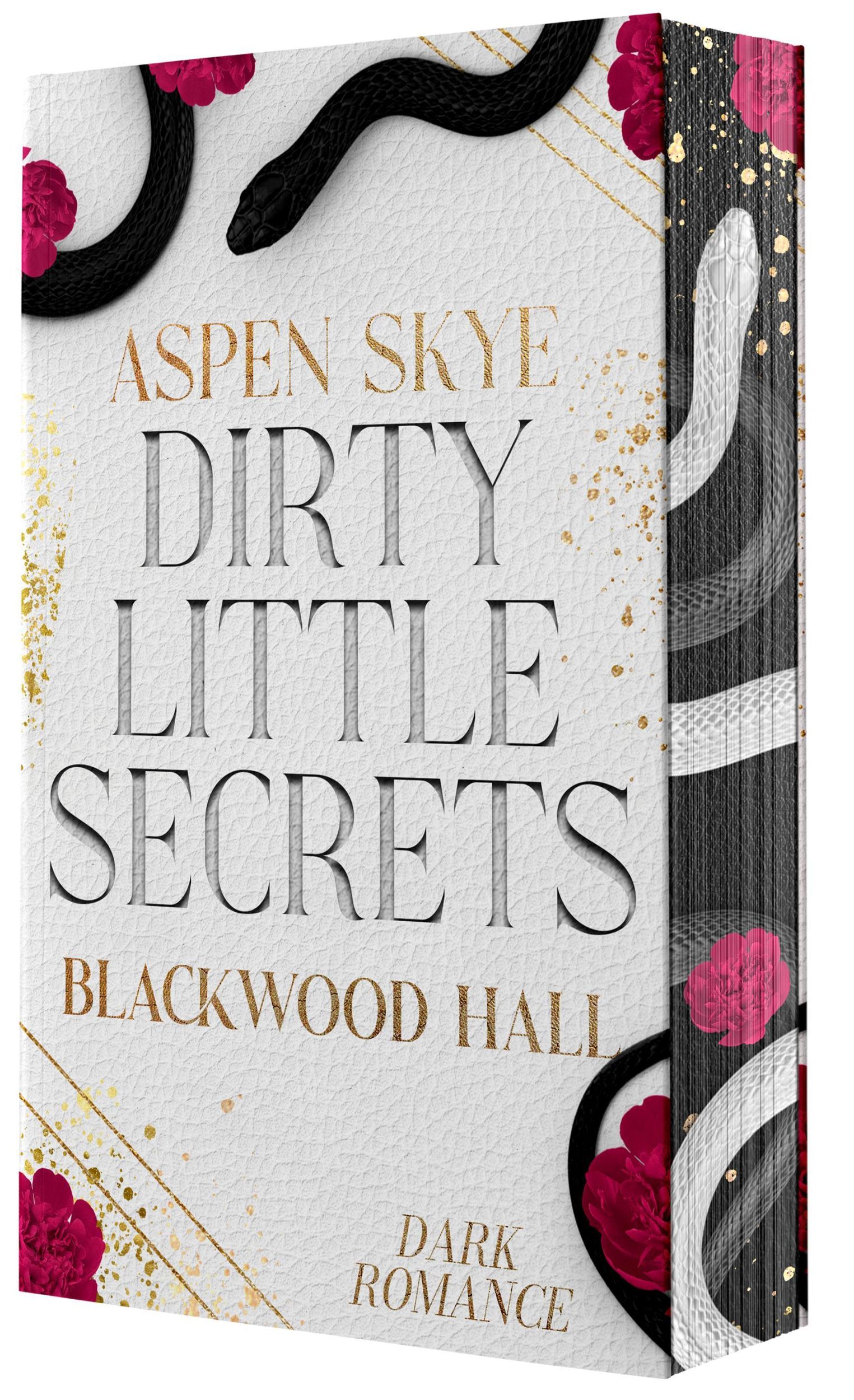 Cover: 9783989425187 | Dirty Little Secrets | Aspen Skye | Taschenbuch | Blackwood Hall