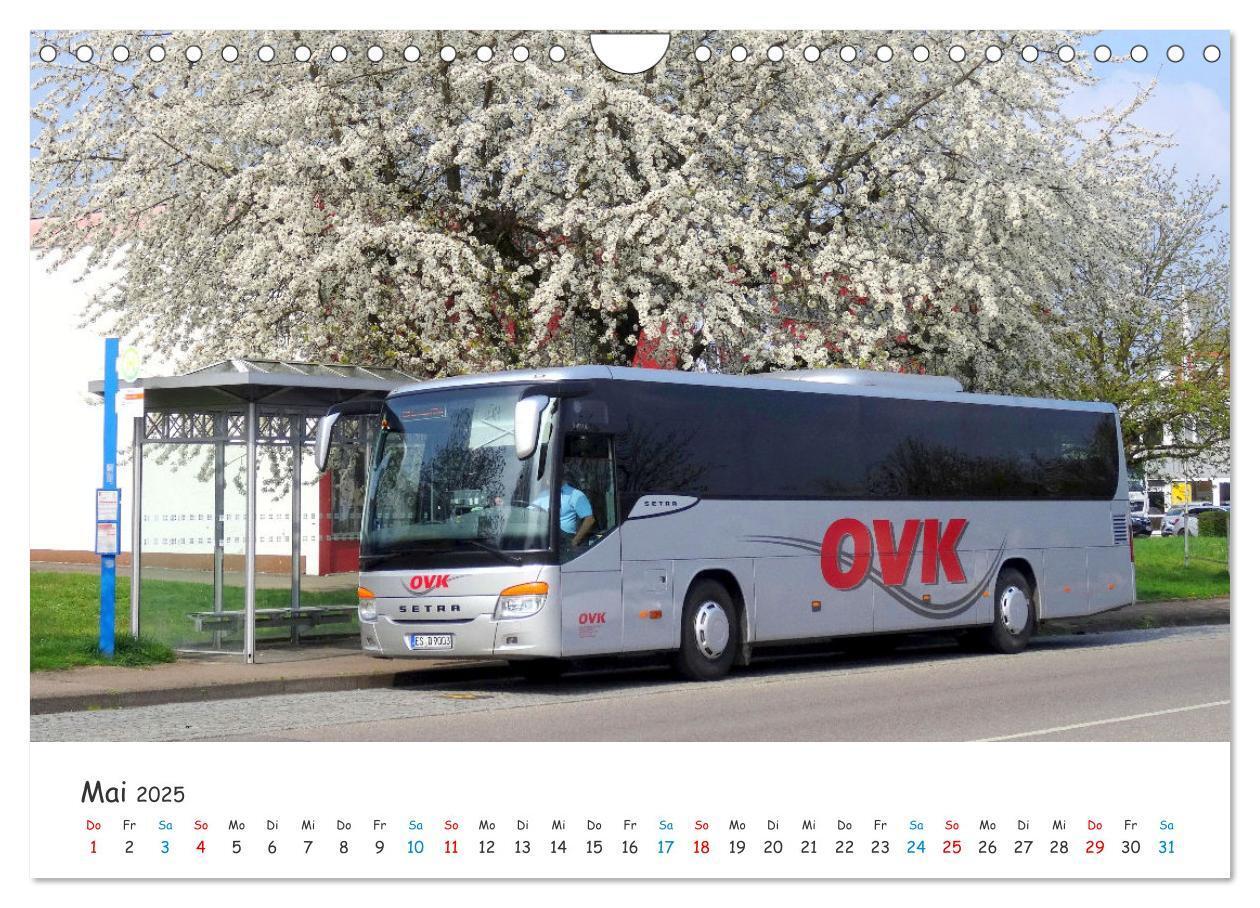 Bild: 9783435095001 | Omnibusse von heute und früher (Wandkalender 2025 DIN A4 quer),...