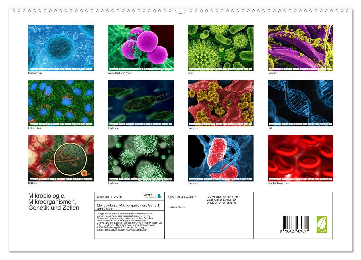 Bild: 9783435474097 | Mikrobiologie. Mikroorganismen, Genetik und Zellen (hochwertiger...