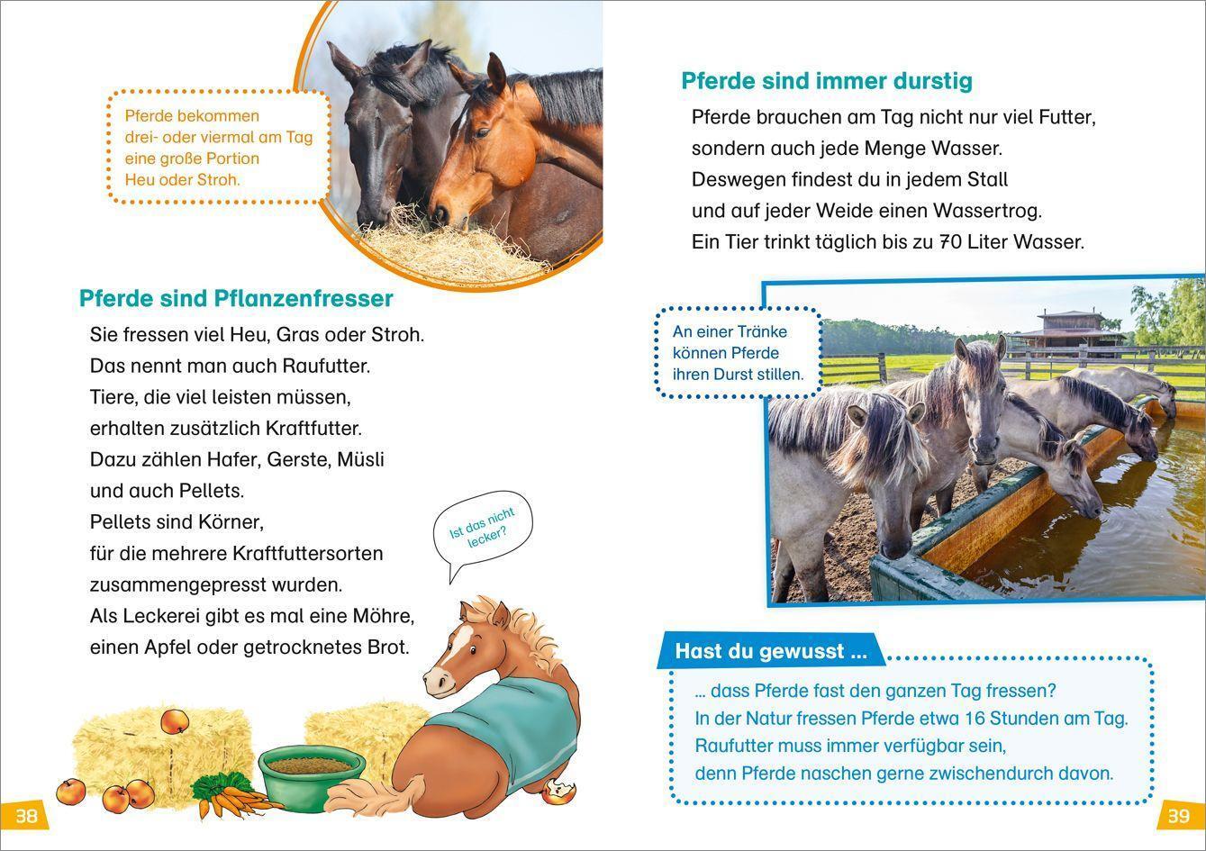 Bild: 9783788626440 | WAS IST WAS Erstes Lesen Band 7. Pferde und Ponys | Christina Braun