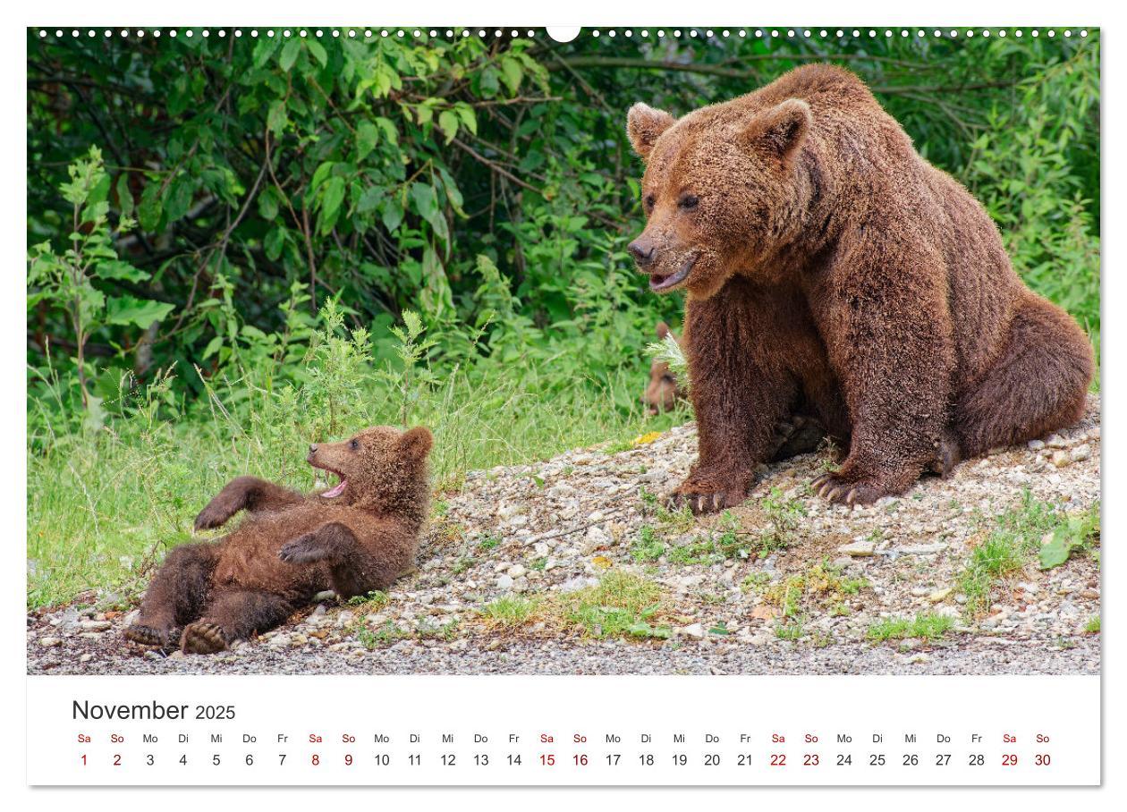 Bild: 9783383798498 | Siebenbürgen und das Fagaras Gebirge (Wandkalender 2025 DIN A2...