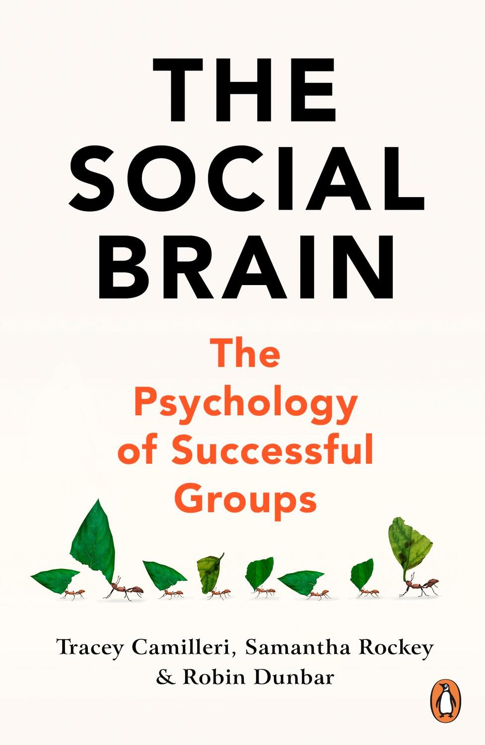 Cover: 9781847943620 | The Social Brain | The Psychology of Successful Groups | Taschenbuch