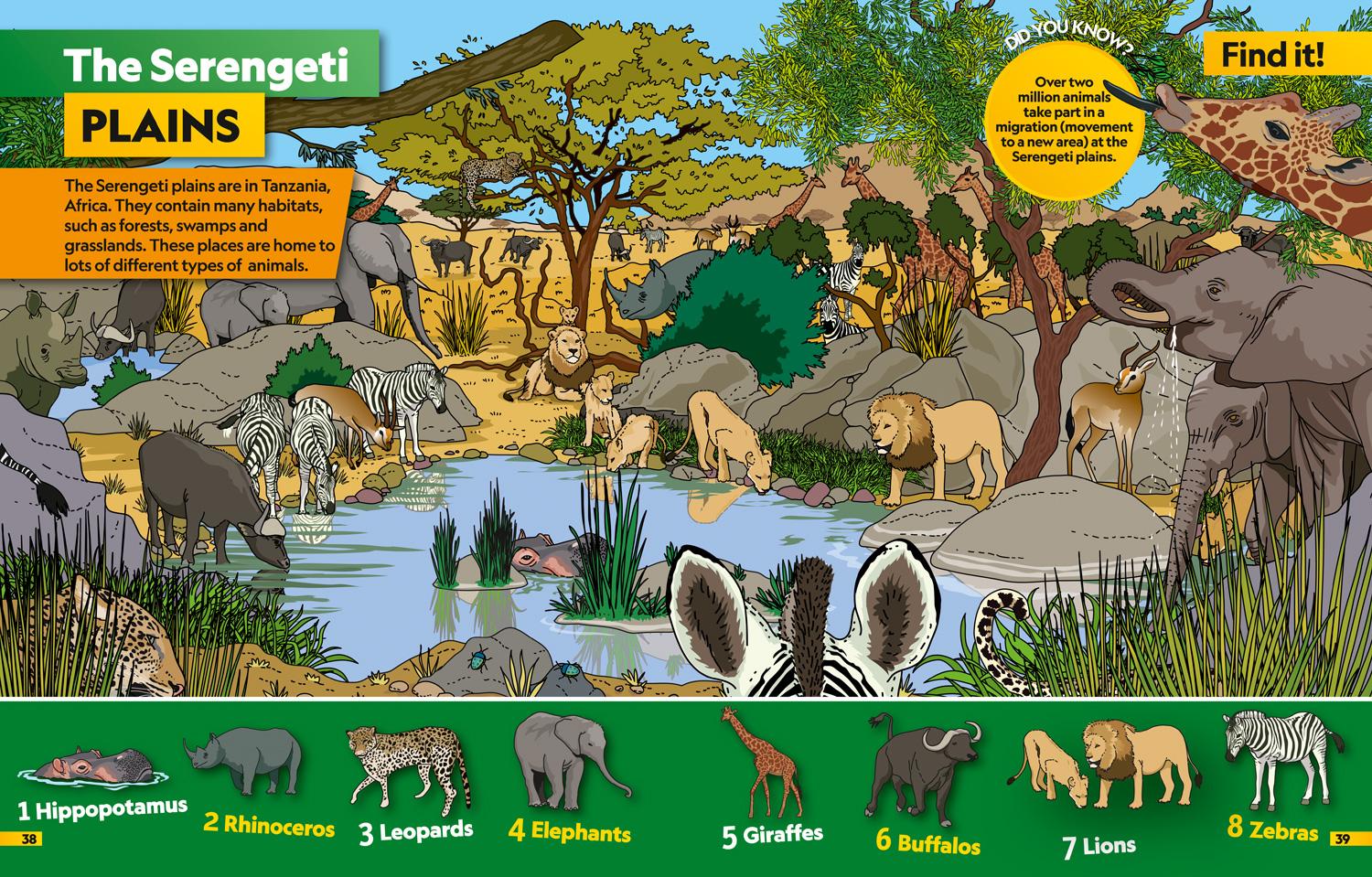 Bild: 9780008421915 | Animals Find it! Explore it! | National Geographic Kids | Taschenbuch