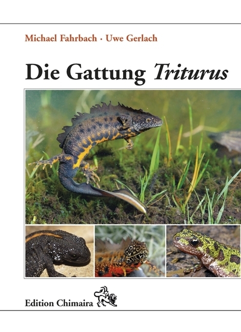 Cover: 9783899735260 | Die Gattung Triturus | Geschichte · Biologie · Systematik · Zucht