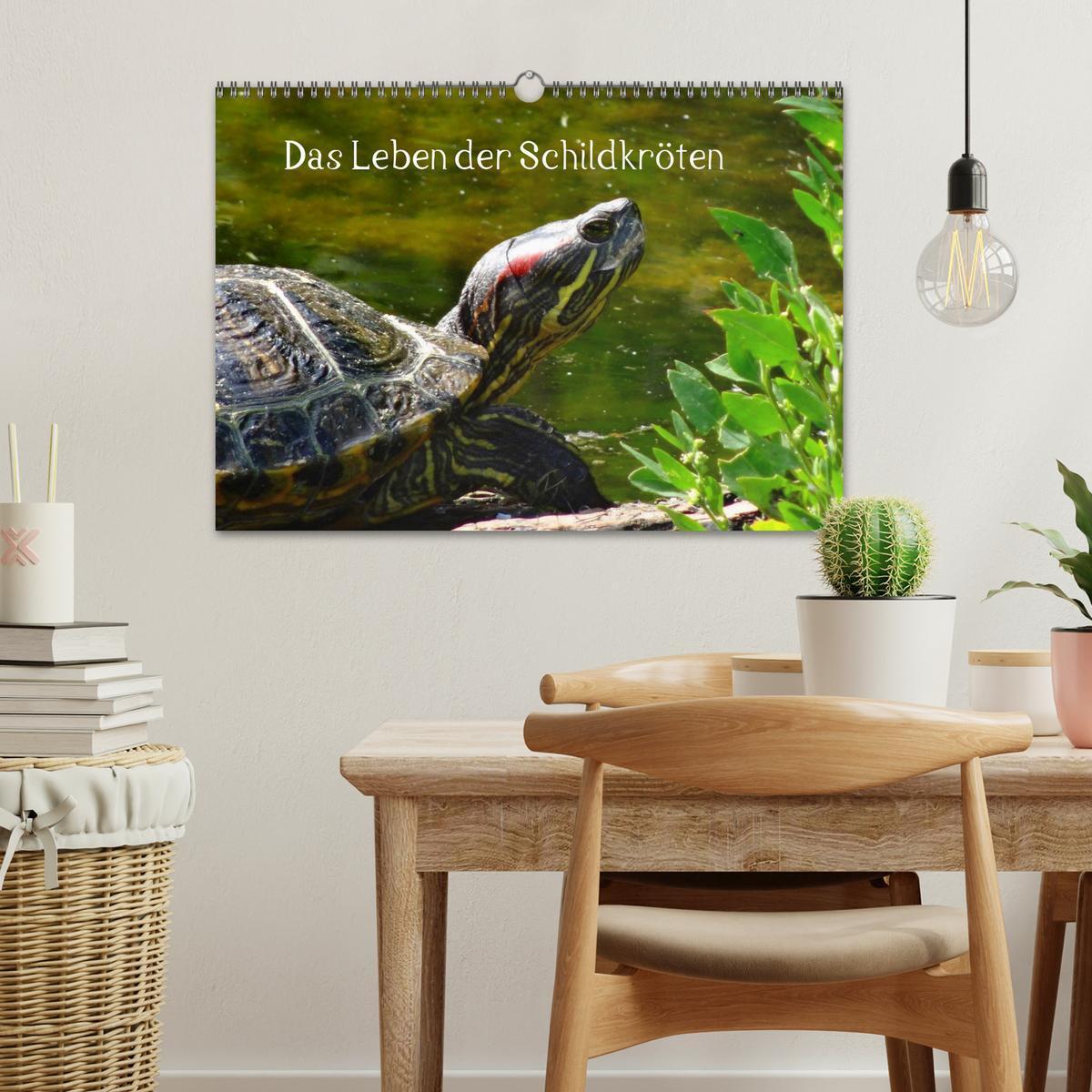 Bild: 9783435763719 | Das Leben der Schildkröten (Wandkalender 2025 DIN A3 quer),...