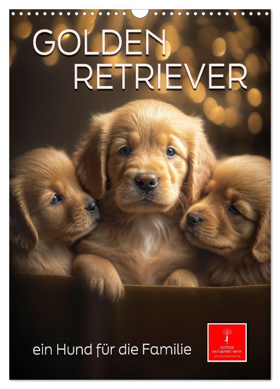 Cover: 9783675441446 | Golden Retriever - ein Hund für die Familie (Wandkalender 2024 DIN...