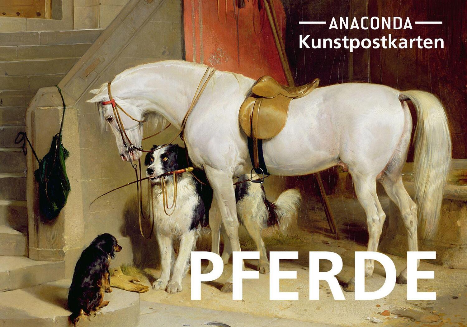 Cover: 9783730612194 | Postkarten-Set Pferde | Anaconda Verlag | Stück | Anaconda Postkarten