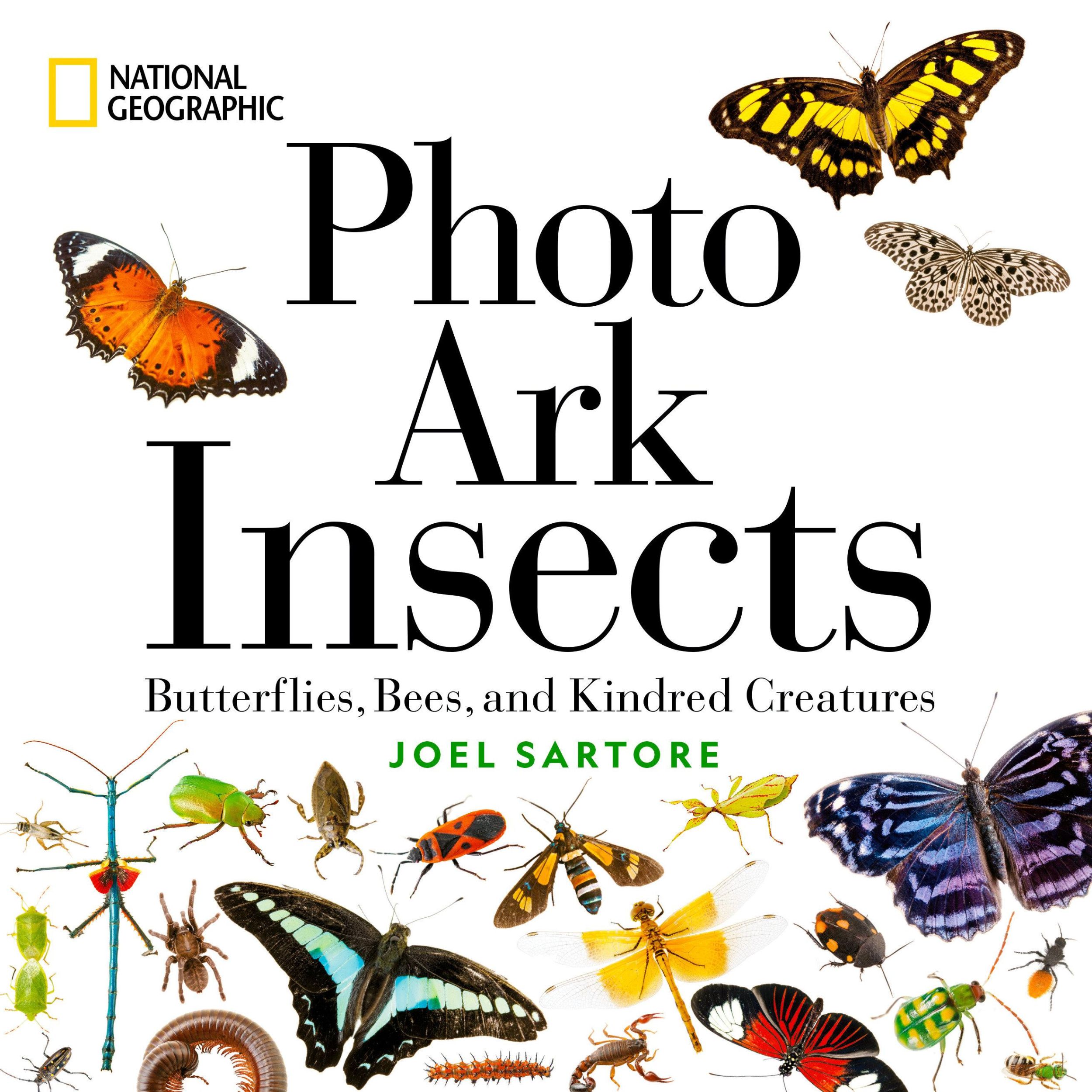 Cover: 9781426223112 | National Geographic Photo Ark Insects | Joel Sartore | Buch | Gebunden