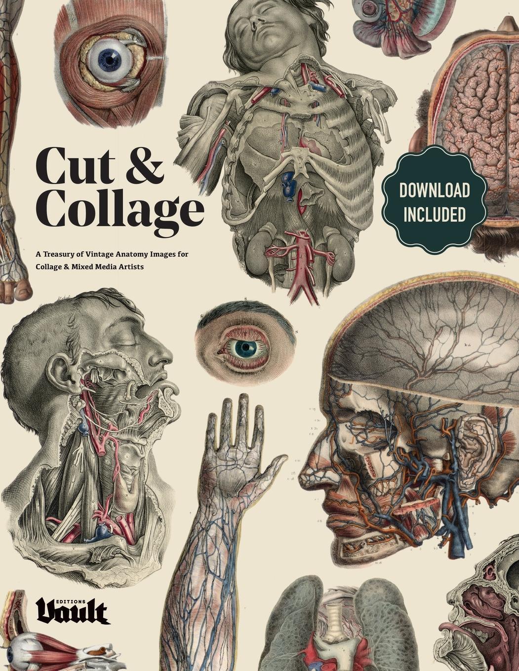 Cover: 9781925968484 | Cut and Collage A Treasury of Vintage Anatomy Images for Collage...