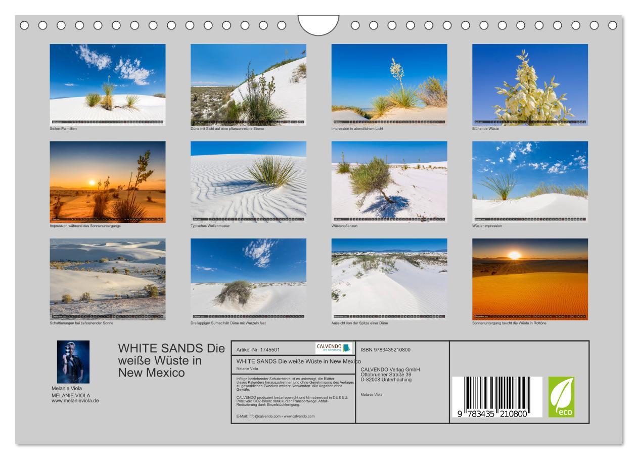 Bild: 9783435210800 | WHITE SANDS Die weiße Wüste in New Mexico (Wandkalender 2025 DIN A4...