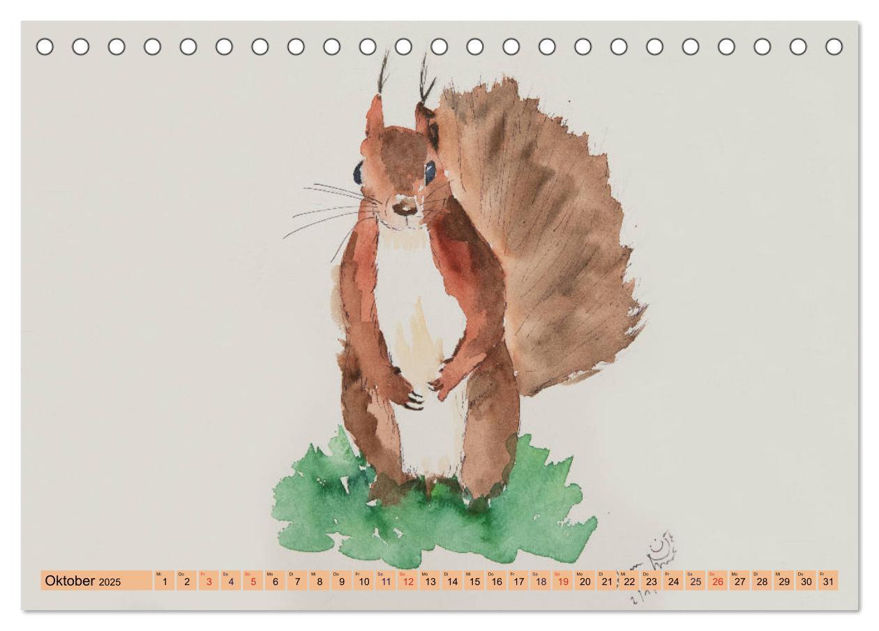 Bild: 9783435404124 | Eichhörnchen in Aquarell (Tischkalender 2025 DIN A5 quer), CALVENDO...