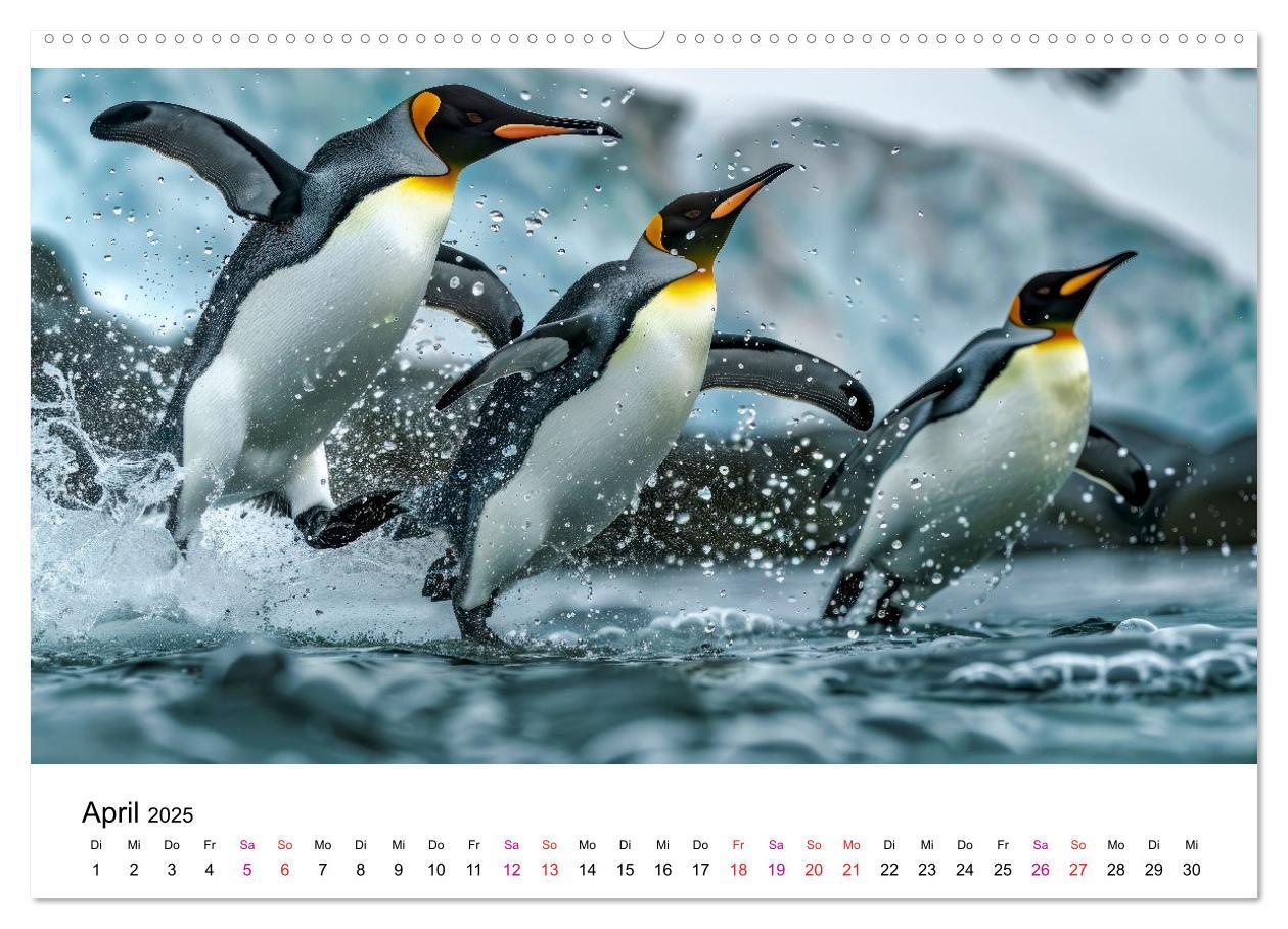 Bild: 9783457164440 | Maritim pur - Pinguine (Wandkalender 2025 DIN A2 quer), CALVENDO...