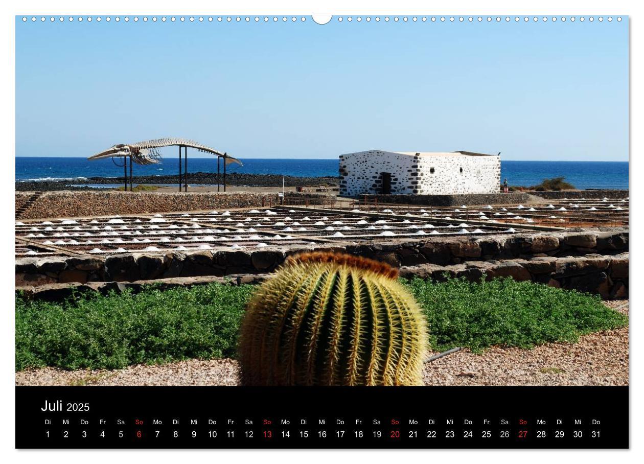 Bild: 9783435824700 | Fuerteventura (Wandkalender 2025 DIN A2 quer), CALVENDO Monatskalender