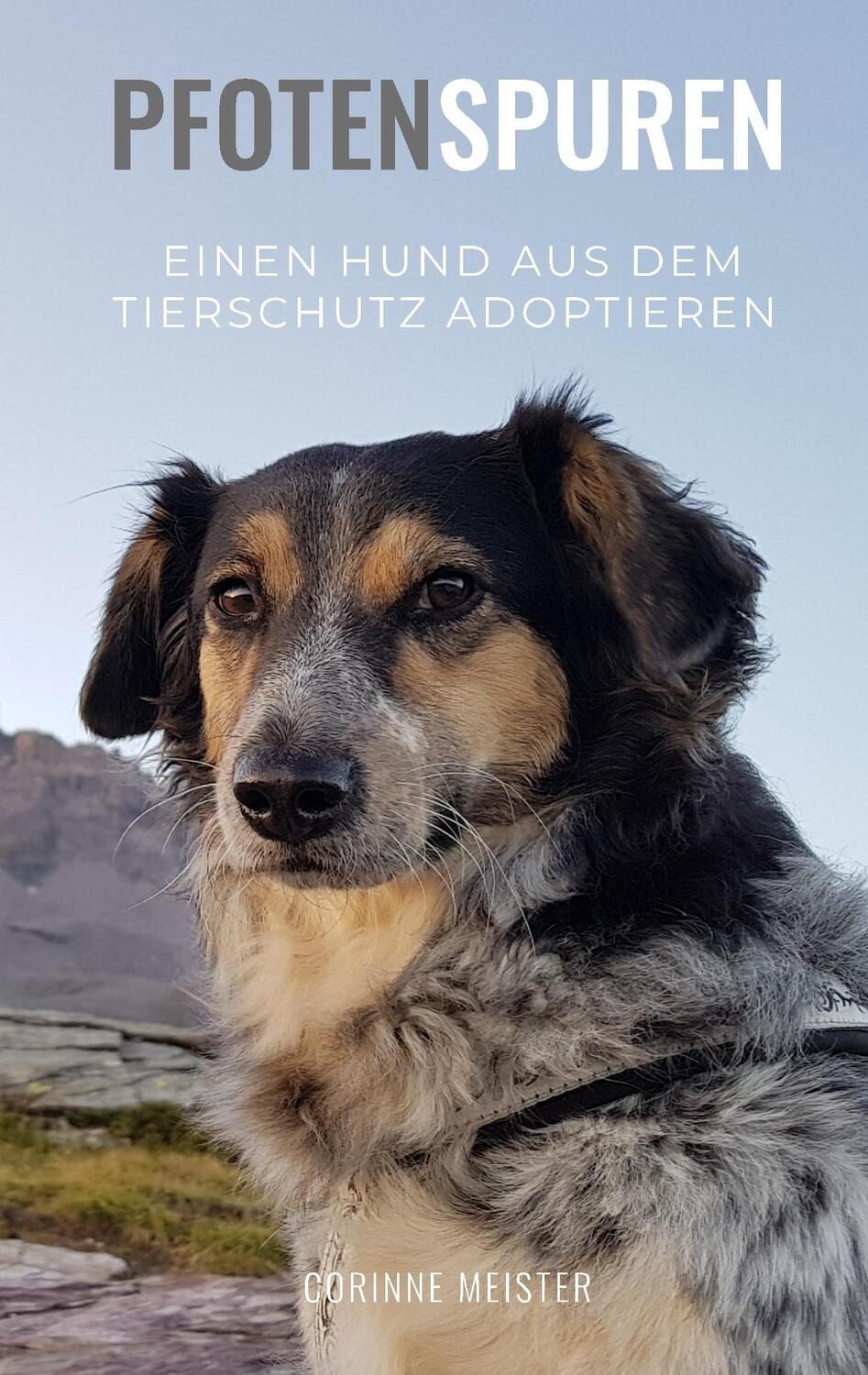 Cover: 9783752804959 | Pfotenspuren | Einen Hund aus dem Tierschutz adoptieren | Meister