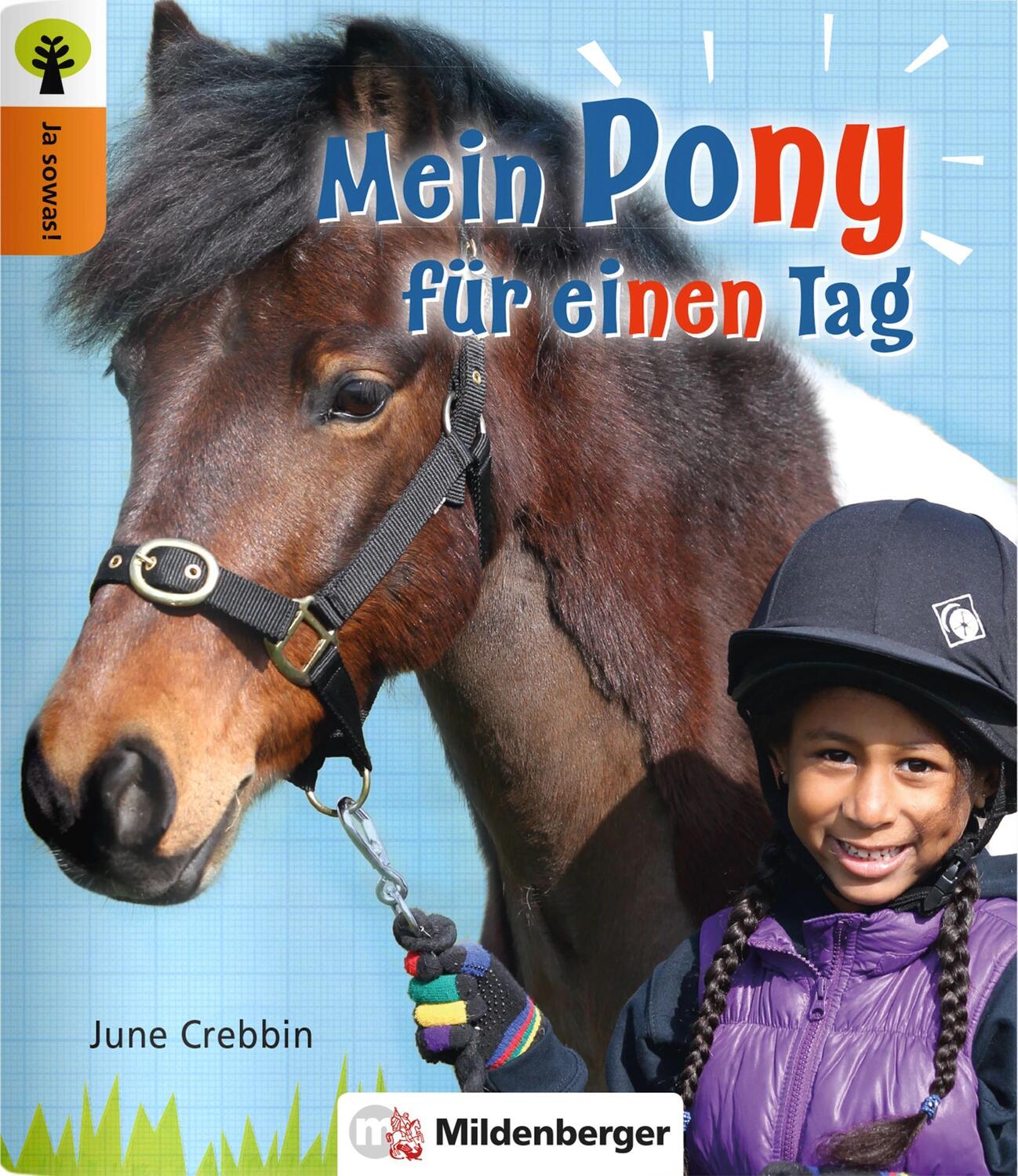 Cover: 9783619246076 | Ja sowas! Mein Pony für einen Tag | June Crebbin | Broschüre | 16 S.