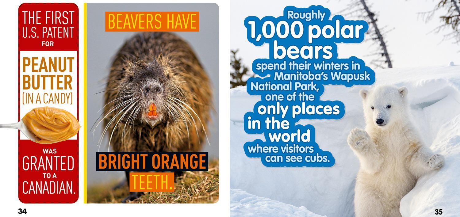 Bild: 9781426330247 | Weird But True Canada | National Geographic Kids | Taschenbuch | 2018