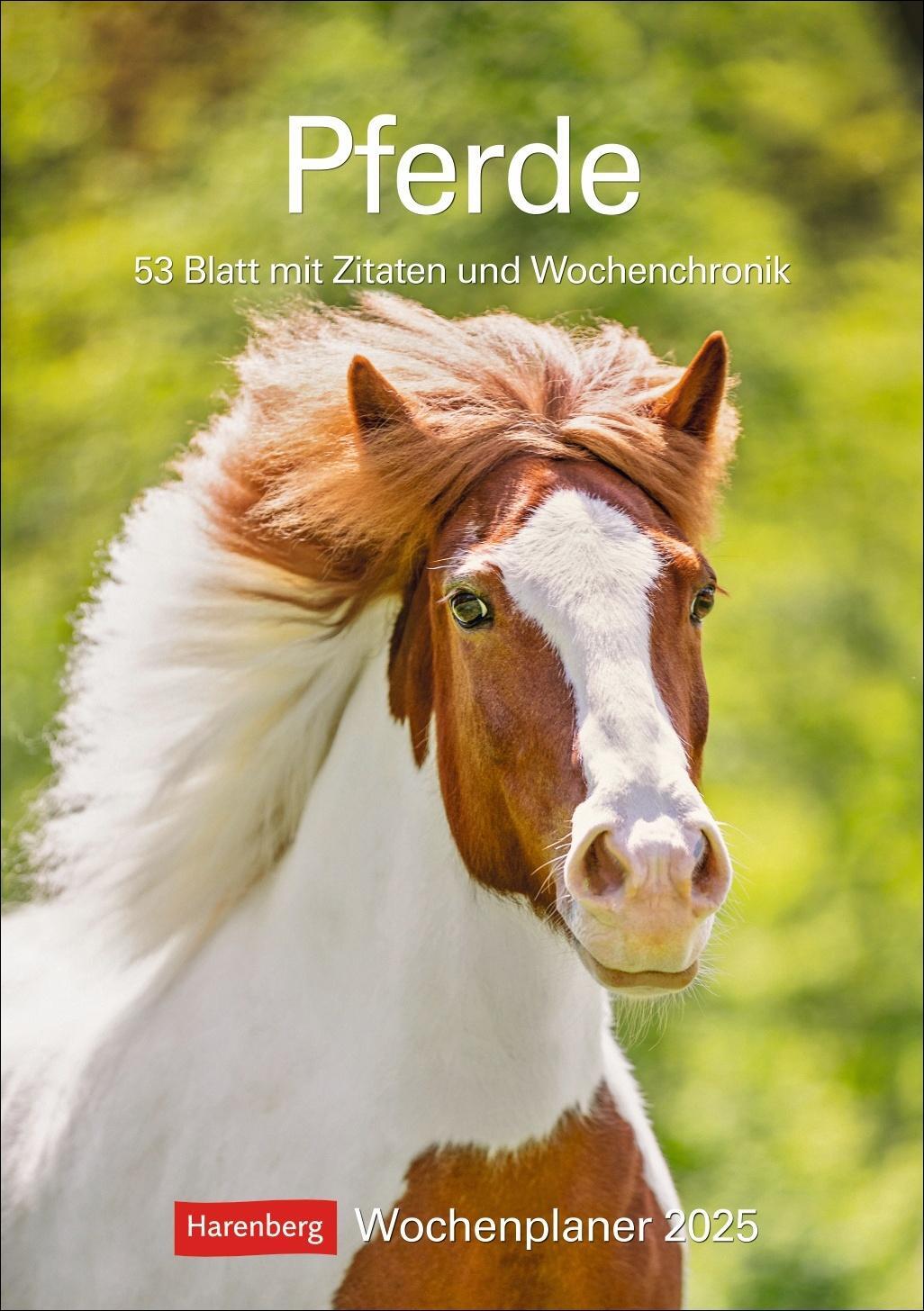 Cover: 9783840034008 | Pferde Wochenplaner 2025 - 53 Blatt mit Zitaten und Wochenchronik