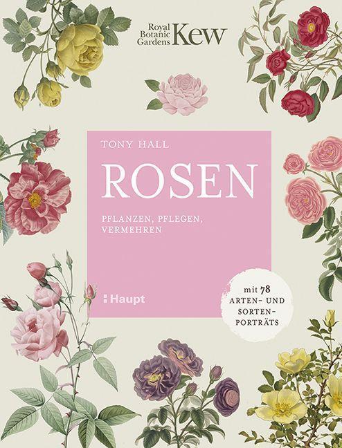 Cover: 9783258082592 | Rosen | Tony Hall | Buch | Deutsch | 2022 | Haupt Verlag
