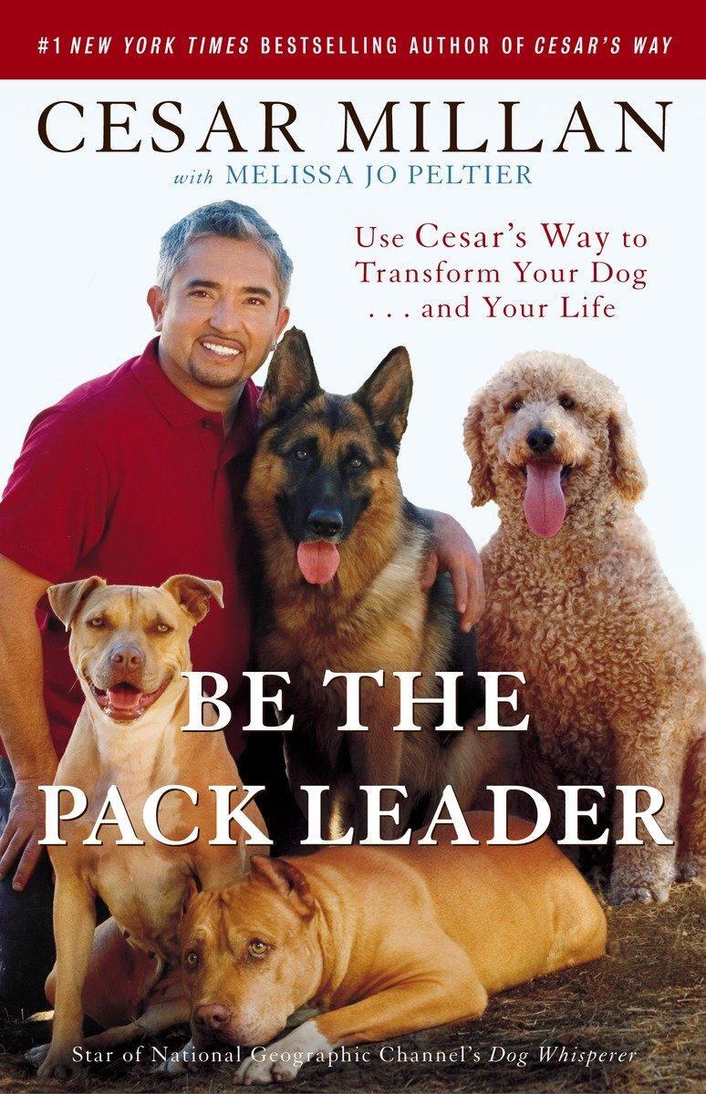 Cover: 9780307381675 | Be the Pack Leader | Cesar Millan (u. a.) | Taschenbuch | Englisch