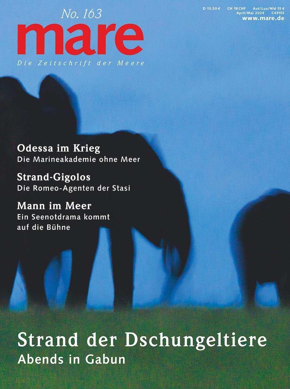 Cover: 9783866484528 | mare - Die Zeitschrift der Meere / No. 163 / Strand der Dschungeltiere