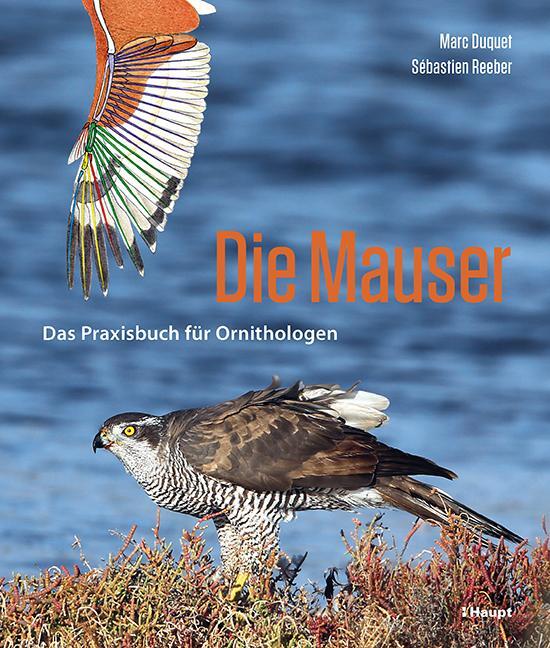 Cover: 9783258082059 | Die Mauser | Das Praxisbuch für Ornithologen | Marc Duquet (u. a.)