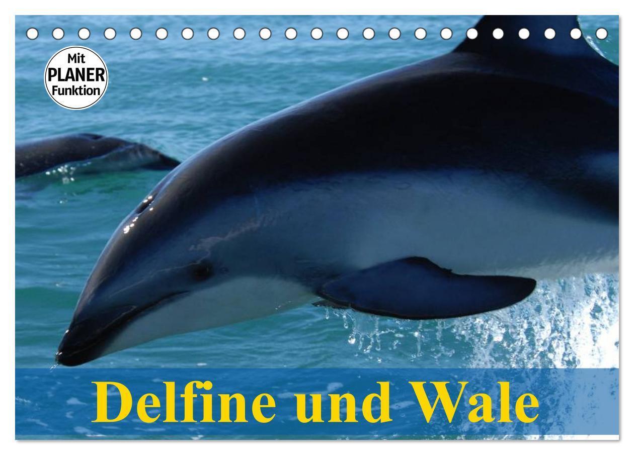 Cover: 9783383331886 | Delfine und Wale (Tischkalender 2024 DIN A5 quer), CALVENDO...