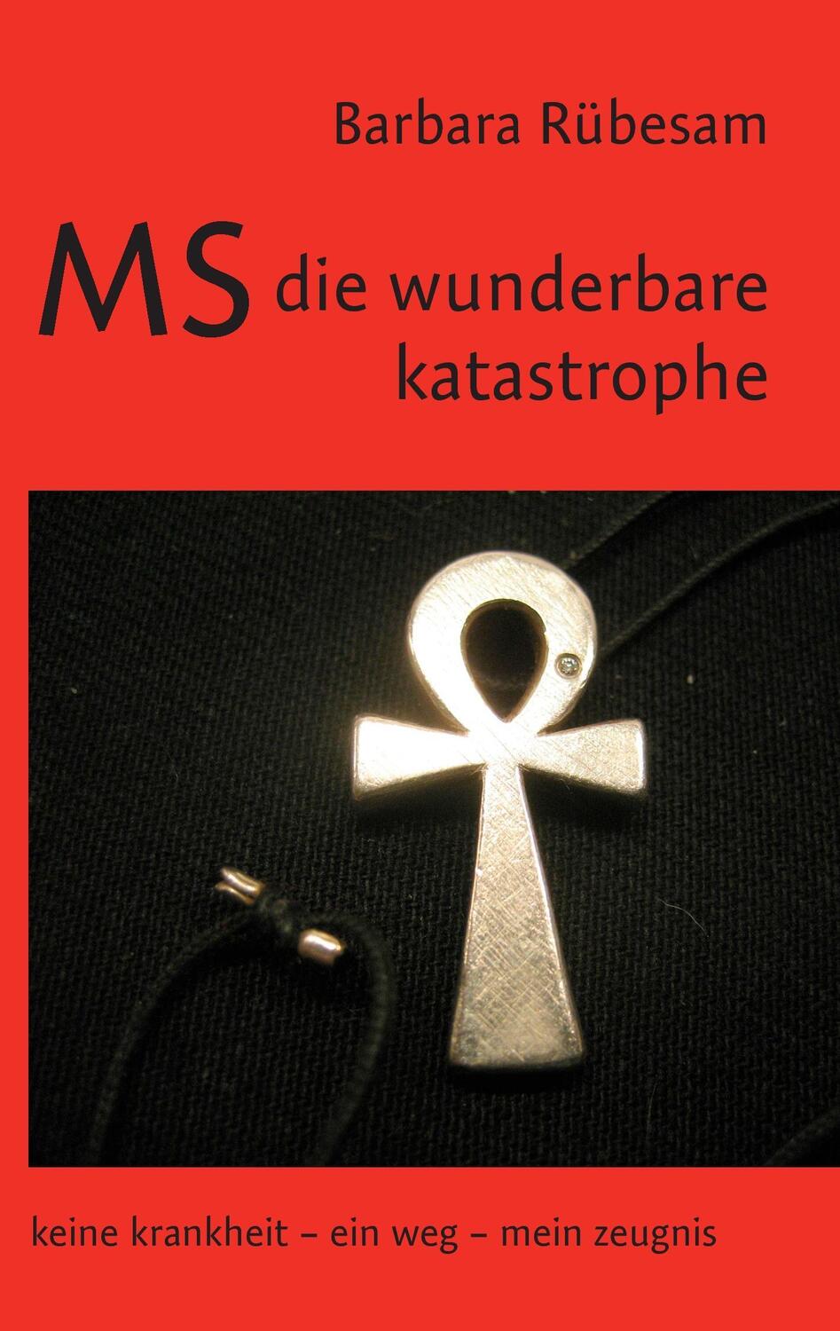 Cover: 9783739285139 | MS - die wunderbare Katastrophe | Barbara Rübesam | Taschenbuch | 2016