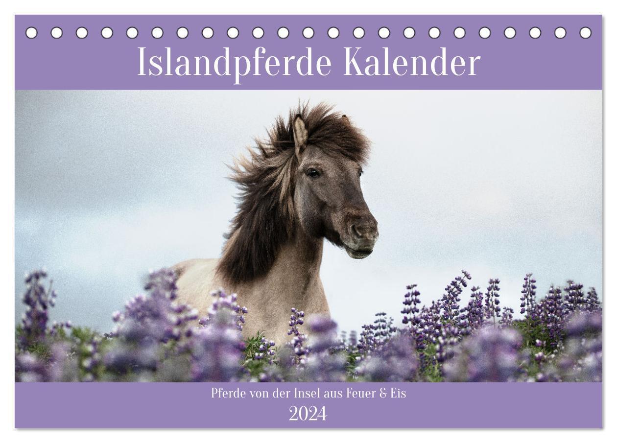 Cover: 9783675969650 | Islandpferde Kalender (Tischkalender 2024 DIN A5 quer), CALVENDO...