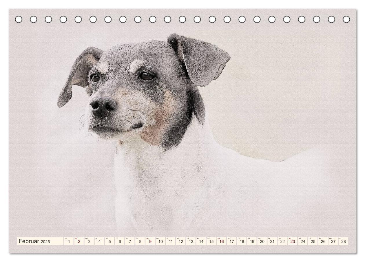 Bild: 9783435699872 | Bodeguero Andaluz 2025 (Tischkalender 2025 DIN A5 quer), CALVENDO...