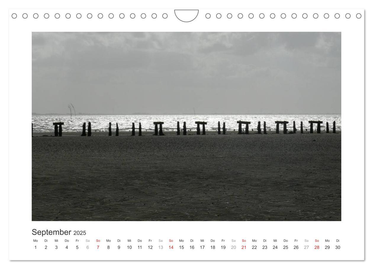 Bild: 9783435480210 | Wangerooge. Der Charme des Ostanlegers (Wandkalender 2025 DIN A4...