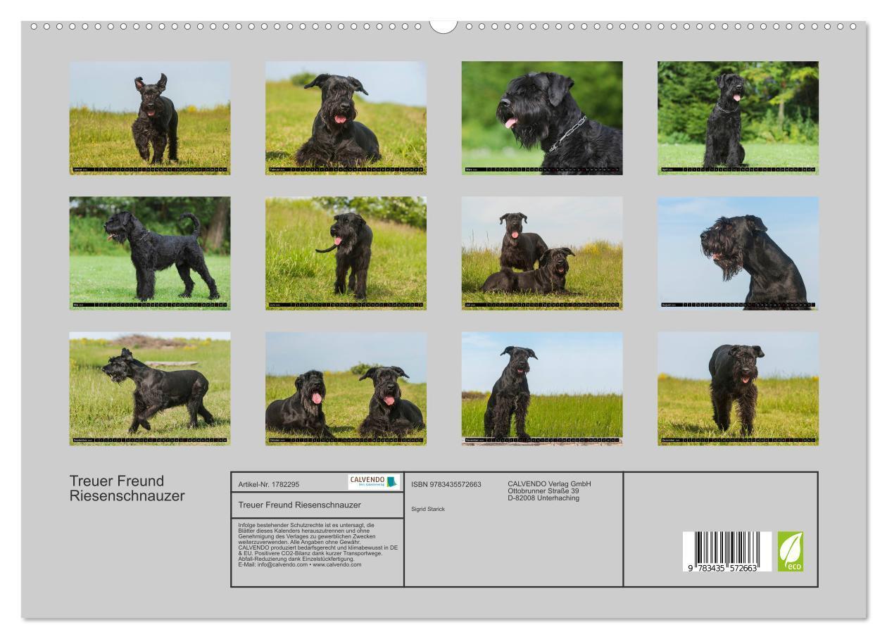 Bild: 9783435572663 | Treuer Freund Riesenschnauzer (hochwertiger Premium Wandkalender...