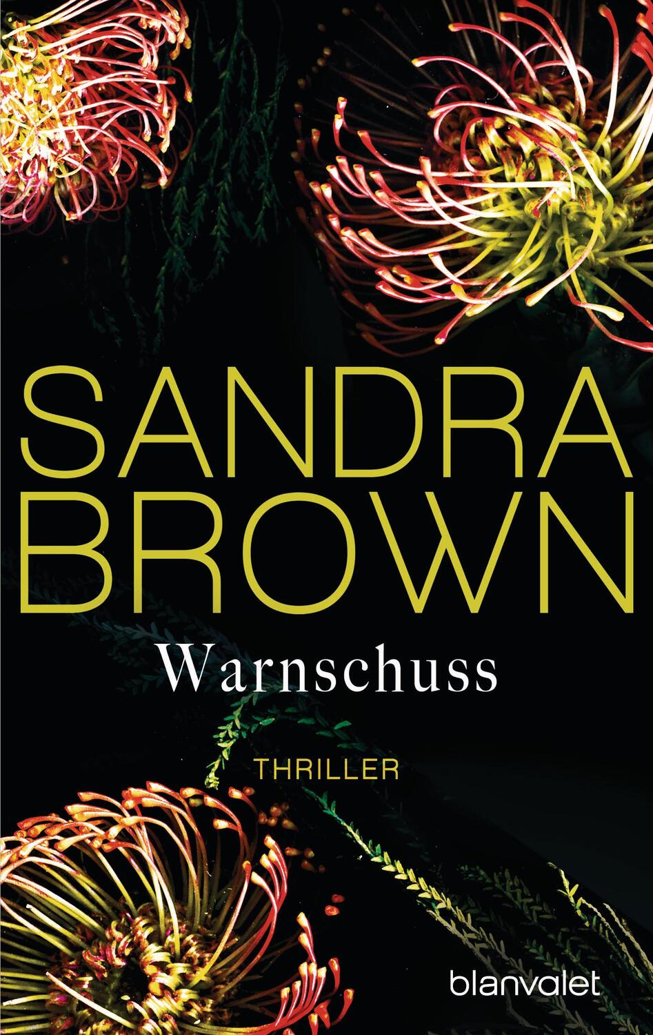 Cover: 9783734106095 | Warnschuss | Thriller | Sandra Brown | Taschenbuch | Deutsch | 2018