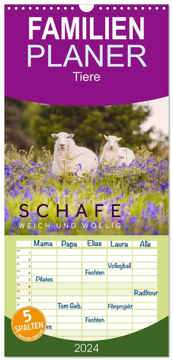 Cover: 9783383088865 | Familienplaner 2024 - Schafe - Weich und wollig mit 5 Spalten...