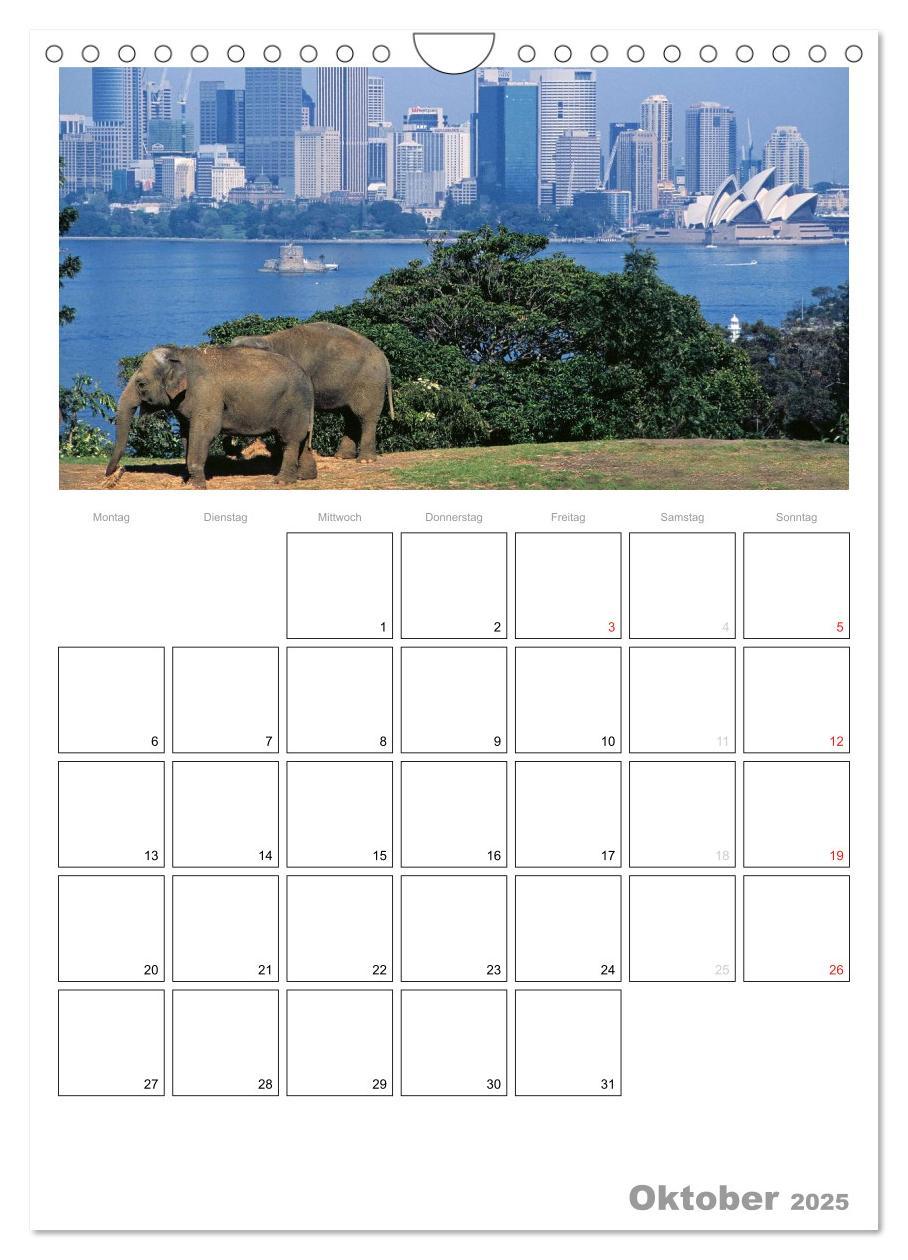 Bild: 9783457087961 | Australien - Terminplaner (Wandkalender 2025 DIN A4 hoch), CALVENDO...